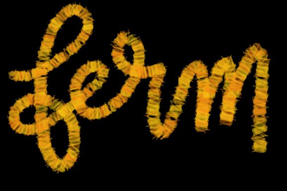 Elevate Your Digital Lettering with Ferm Brush for Procreate 5 and Above