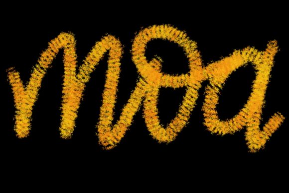 Mastering Modern Calligraphy with Moa Brush for Procreate 5 and Above